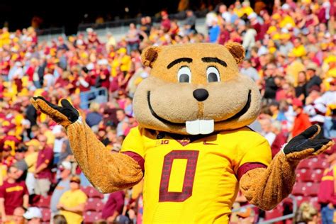 Gopher Gold .